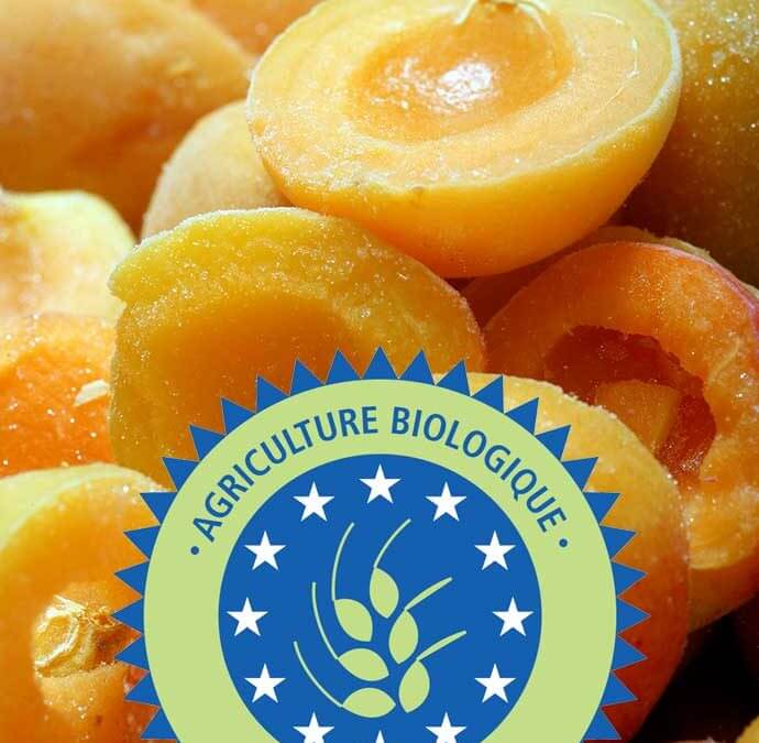 Do you need organic fruit from France for your original jams ? Find out how the sourcing of organic jam takes place at a jam maker committed to the quality of made in France !