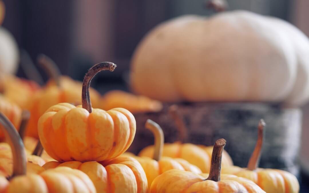 For Halloween, have an original recipe for jam in a copper bowl made by Andrésy Confitures!